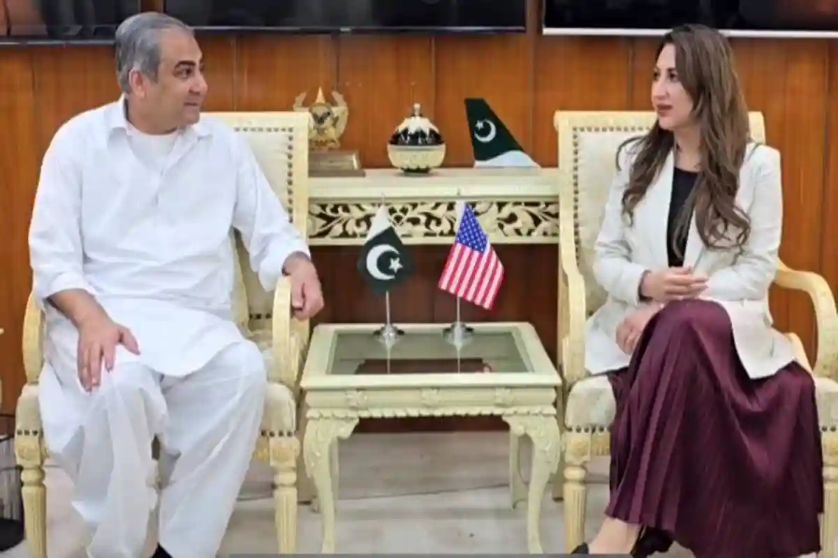 محسن نقوی کی برطانوی ہائی کمشنر اور قائم مقام امریکی سفیر سے علیحدہ ملاقاتیں