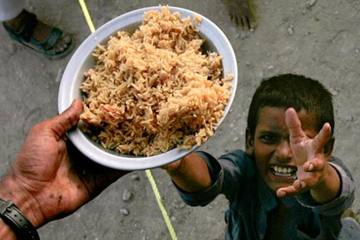 وفاقی وزیر غذائی تحفظ کا عالمی یومِ خوراک کے موقع پر اہم پیغام
