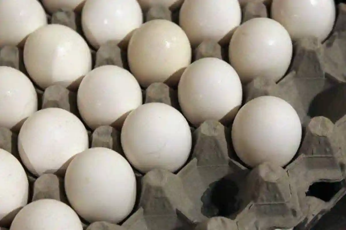 کہیں آپ بھی تو پلاسٹک کا انڈہ نہیں کھا رہے؟ اصلی اور پلاسٹک کے انڈوں کو پہچاننے کا آسان طریقہ سامنے آگیا