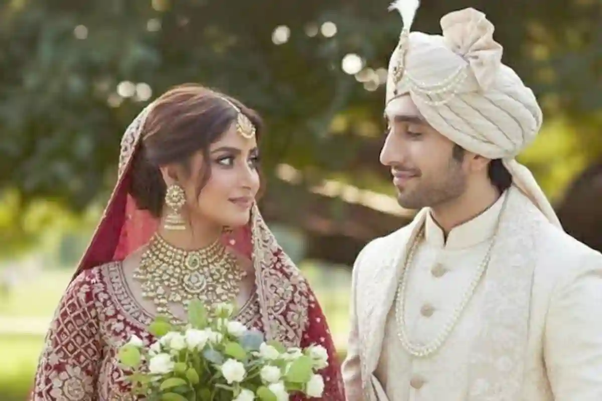 سجل علی اور حمزہ سہیل شادی