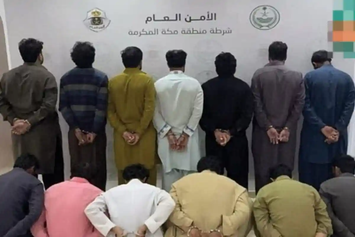 بھیڑوں کی چوری کی وارداتیں، سعودی پولیس نے 13 پاکستانیوں کو حراست میں لے لیا