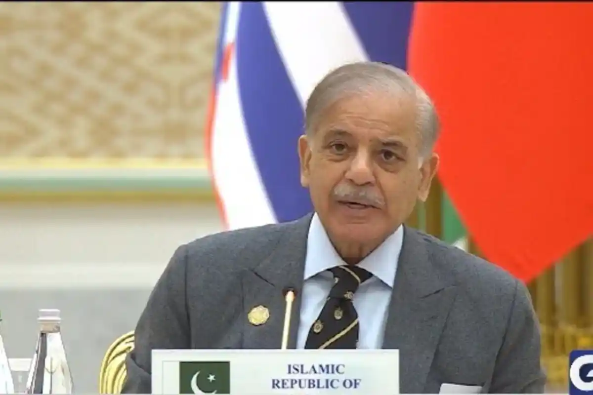 دہشت گردی کا نیا خطرہ افغان سرزمین سے اٹھ رہا ہے، وزیراعظم شہباز شریف