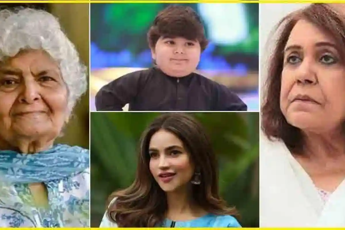 شوبز کے افق سے چمکتے وہ ستارے جو 2025 میں خاموش ہوئے