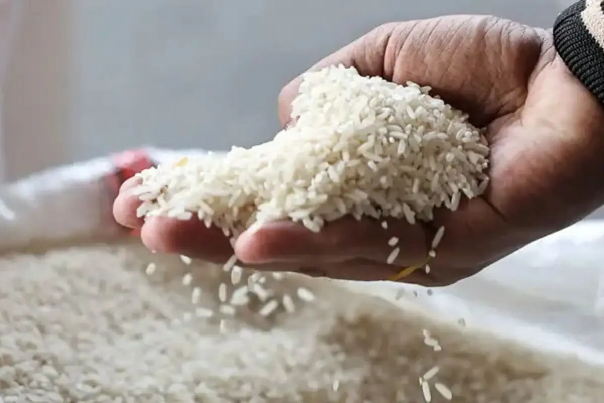 عالمی منڈی میں پاکستانی چاول کی دھوم، دنیا میں تیسری پوزیشن حاصل