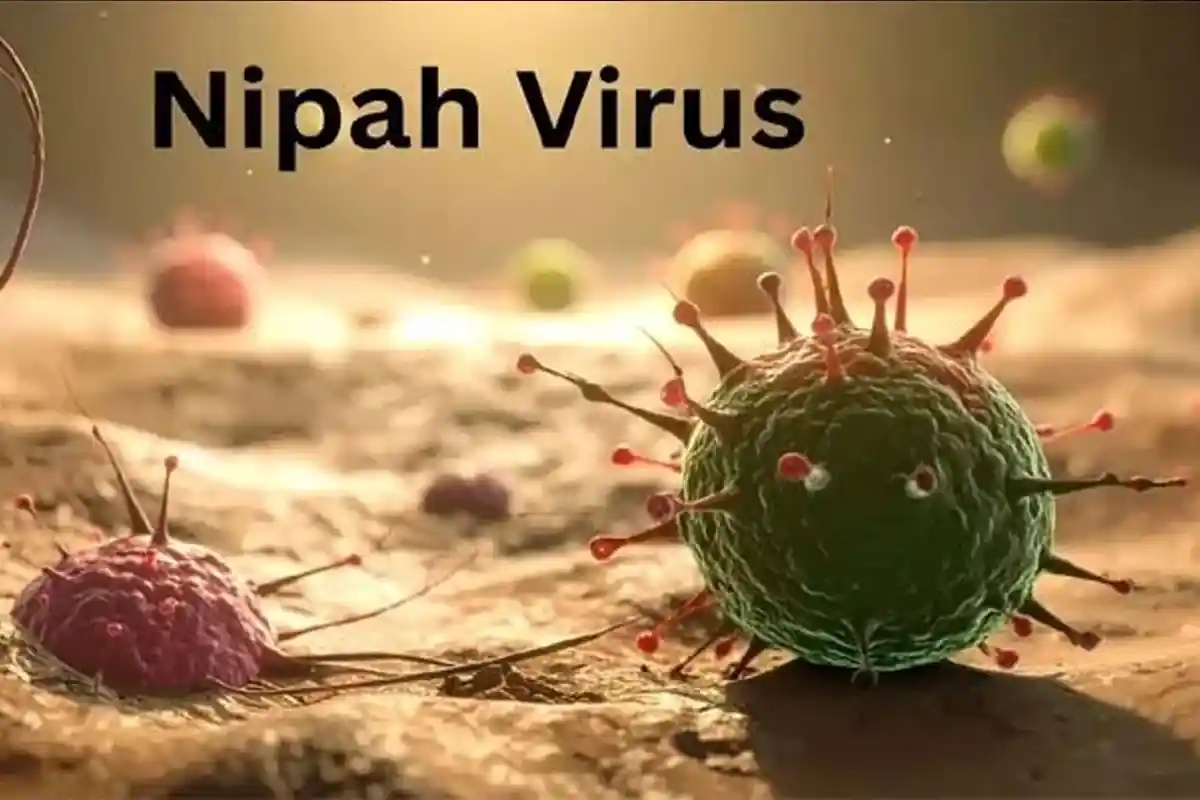 بھارت: مغربی بنگال میں نِپاہ وائرس پھیل گیا، 100 افراد قرنطینہ