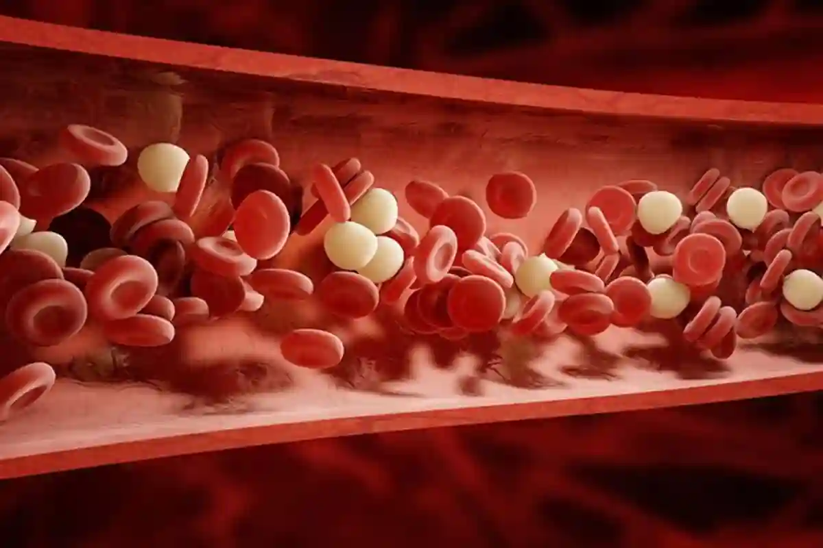 خون کی گردش