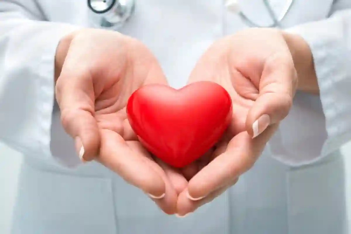 صحت مند زندگی کے اصول