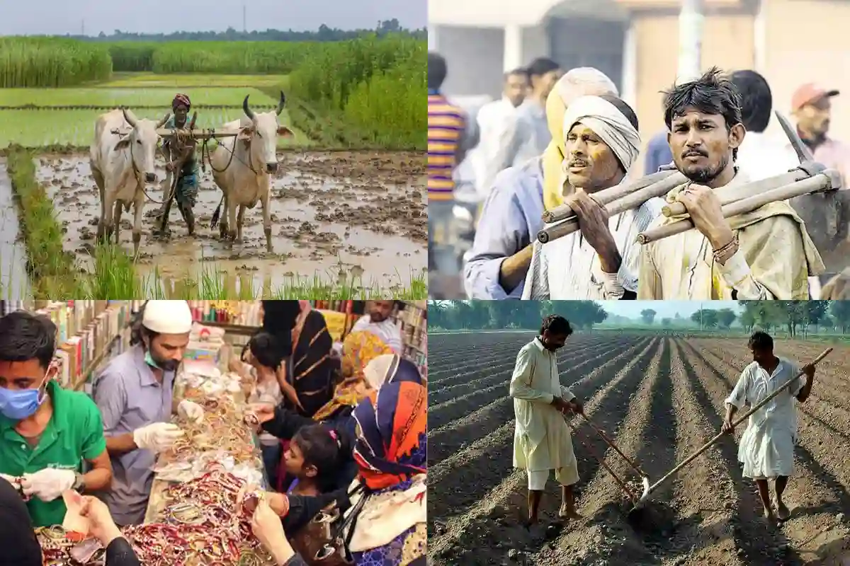 کسان بیمہ اسکیم