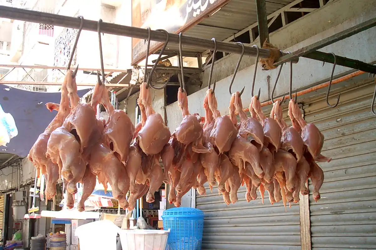 کراچی میں بائیس سو کلو مضر صحت مرغی کا گوشت سپلائی کرنے کی کوشش ناکام