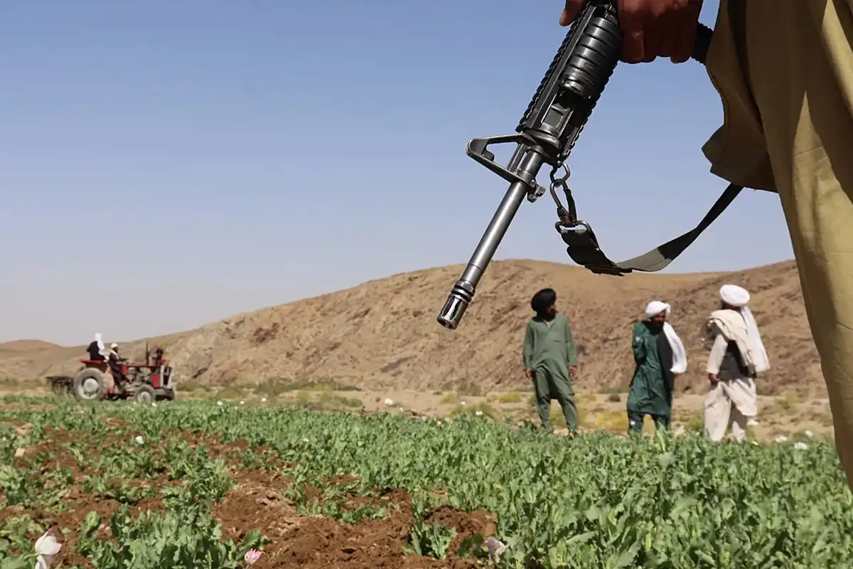 افغانستان سے منشیات کی اسمگلنگ میں 50 فیصد اضافہ ہوگیا، اقوامِ متحدہ کی رپورٹ