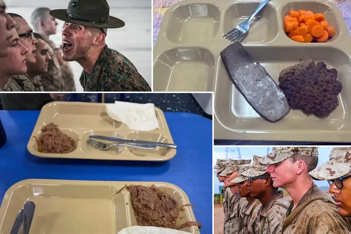 ایران کیخلاف تعینات امریکی بحری بیڑوں پر خوراک کا بحران، غیر معیاری کھانا فراہم کیے جانے کا انکشاف