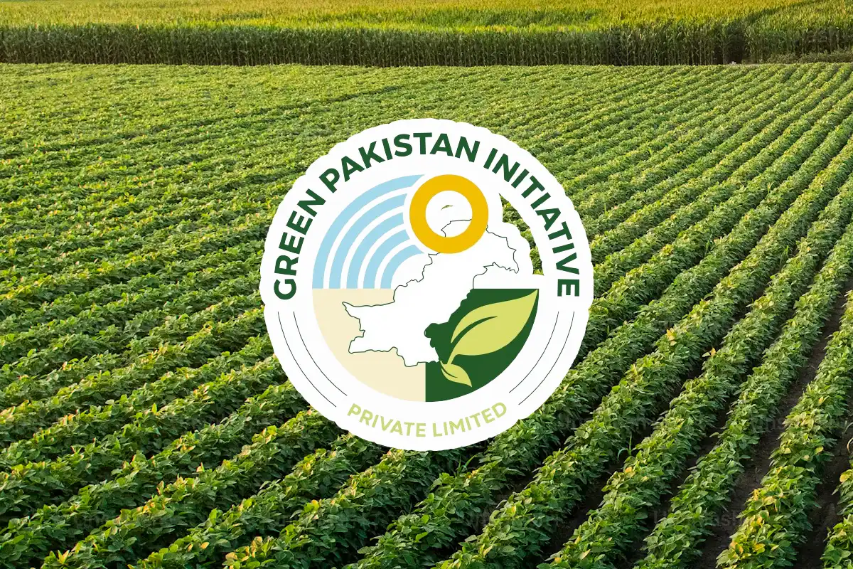 گرین پاکستان انیشیٹو، بنجر زمینوں پر جدید زراعت سے معاشی انقلاب دستک دینے لگا