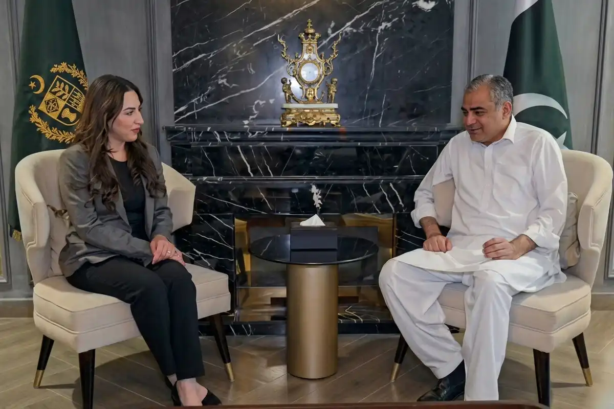 امریکی ناظم الامور