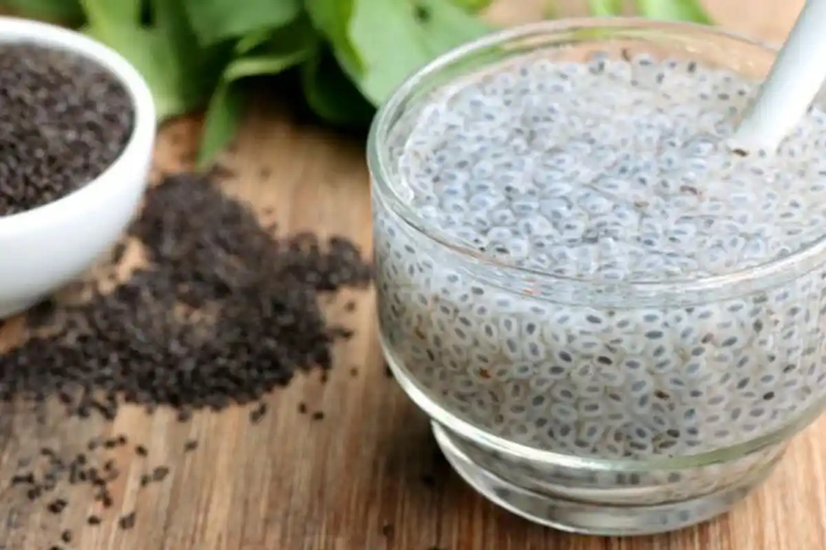 دودہی تخم ملنگا