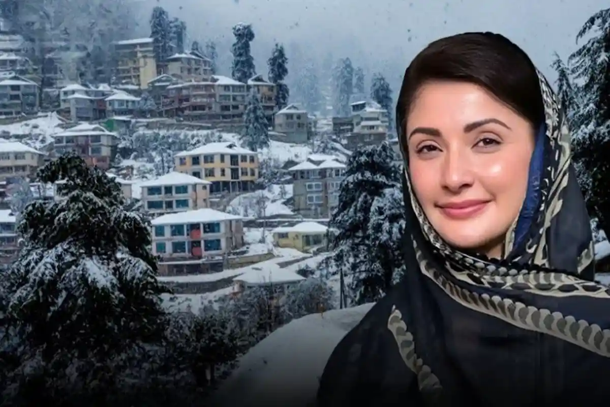 مری گرین بس سروس
