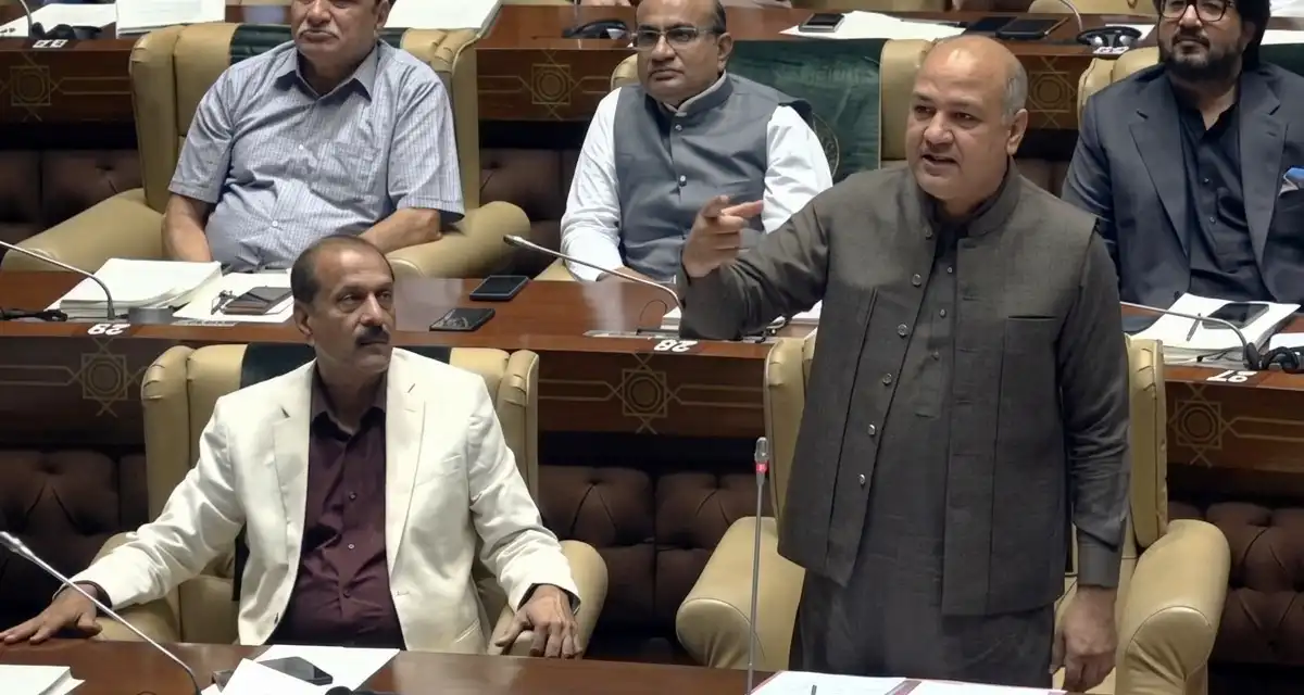 بلاول بھٹو، صدر اور چیئرمین سینیٹ کا استعفیٰ لائیں، ہمارے وزراء کے استعفے حاضر ہیں، علی خورشیدی