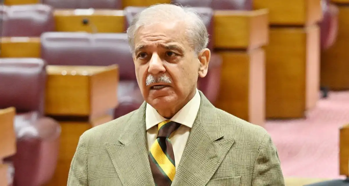 حکومت کو غیر قانونی کہنا محض ایک ذہنی اختراع ہے، وزیر اعظم