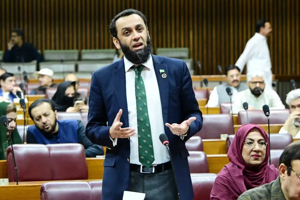 وفاقی بجٹ عوام دوست ہے، استحکام کیلئے میثاق معیشت کی پیشکش اب بھی برقرار ہے، عطاء تارڑ