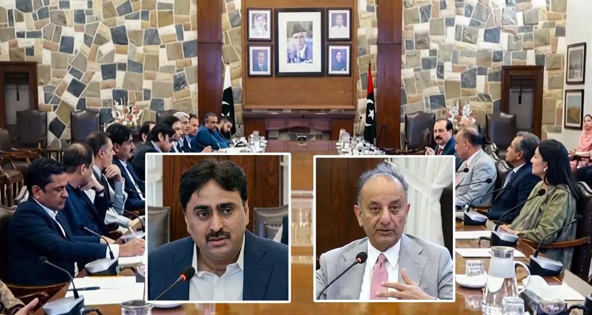 وفاق اور سندھ میں مون سون اور سیلابی خطرات سے نمٹنے کے لیے مشترکہ تعاون پر اتفاق