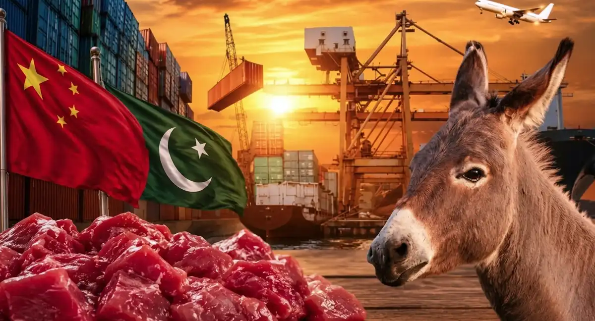 پاکستان سے گدھے کے گوشت کی 27 ٹن وزنی پہلی کھیپ کامیابی سے چین منتقل