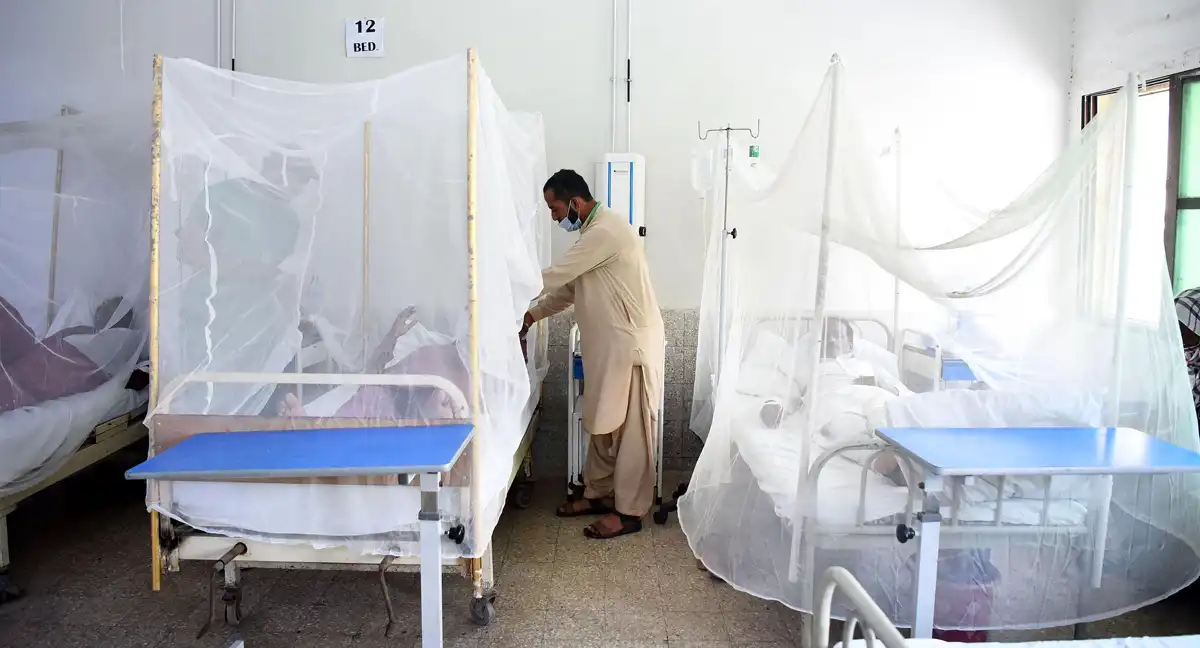خیبرپختونخوا میں ڈینگی وائرس تیزی سے پھیلنے لگا، 83 نئے کیسز رپورٹ