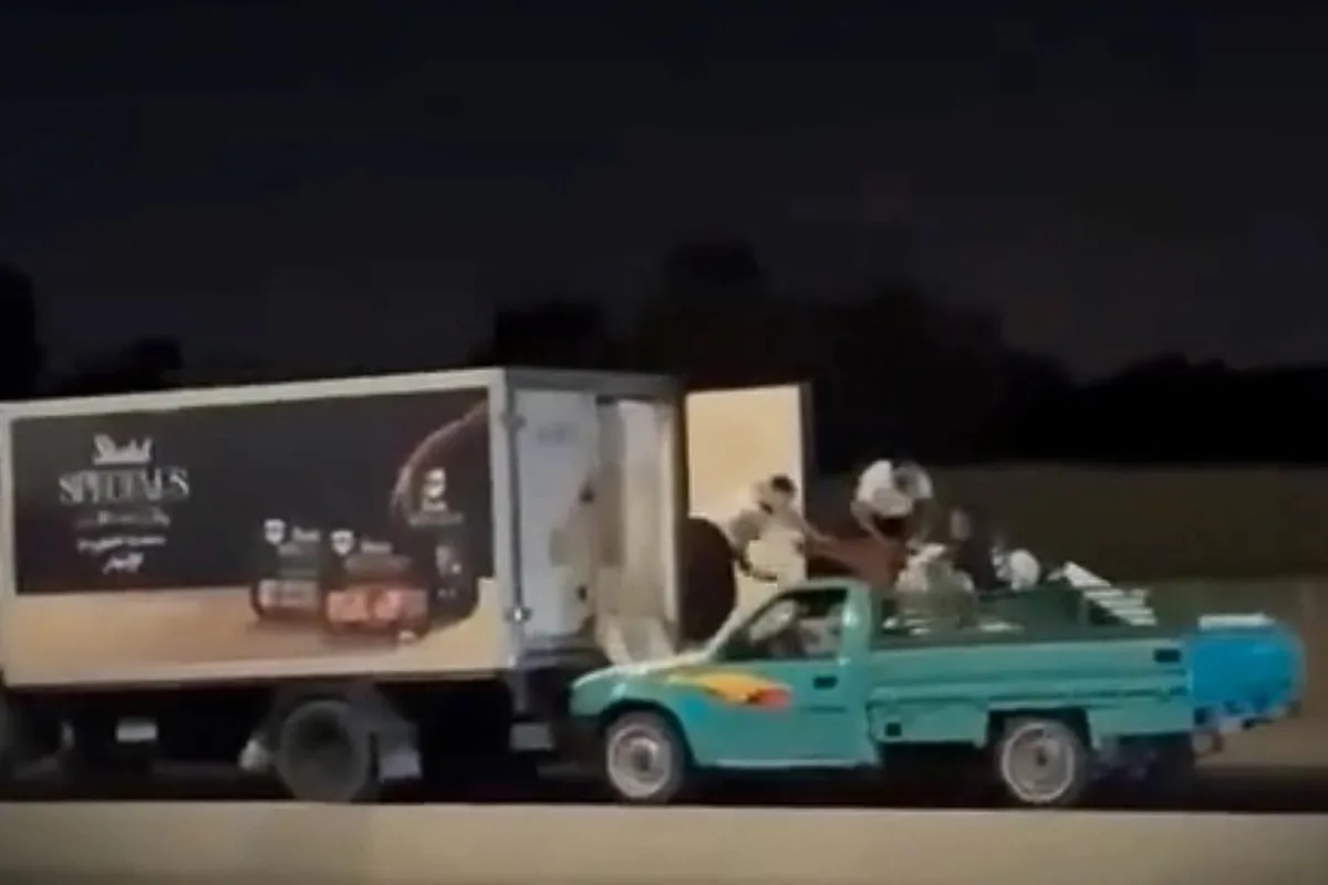 مصر میں چلتے ٹرک سے 105 کلو چکن چوری، فلمی انداز کی واردات کی ویڈیو وائرل