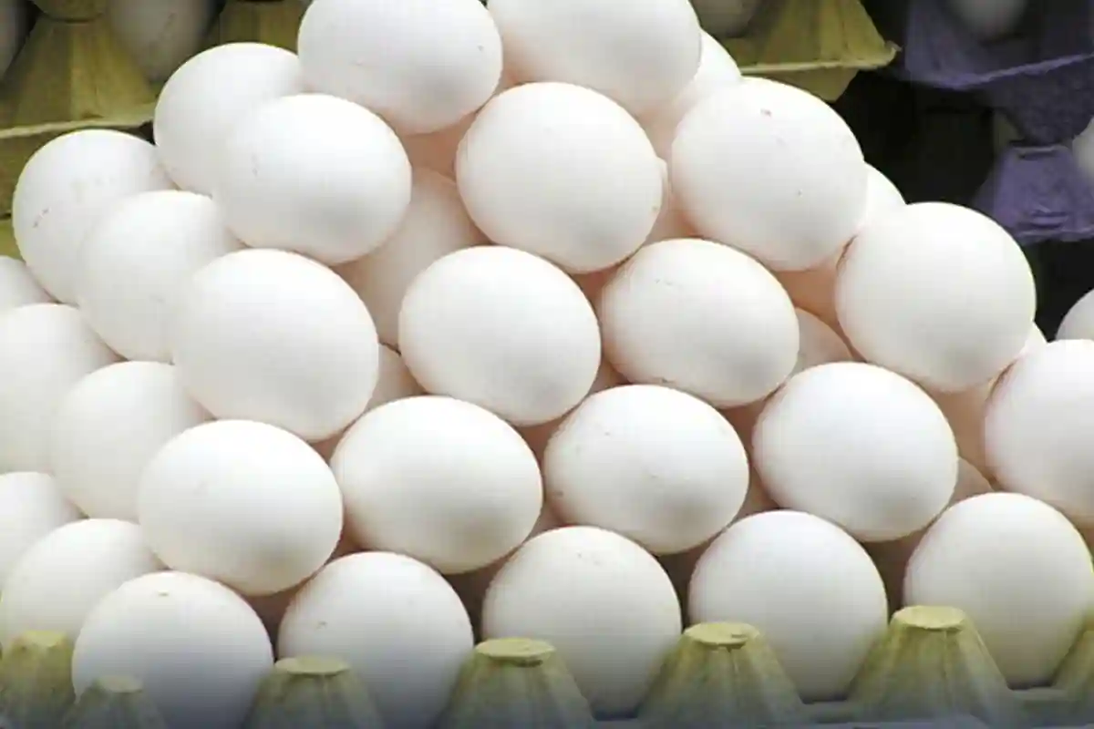 انڈہ خریدتے وقت تازگی اور معیار جانچنے کا آسان طریقہ کیا؟ پہلے یہ جان لیں
