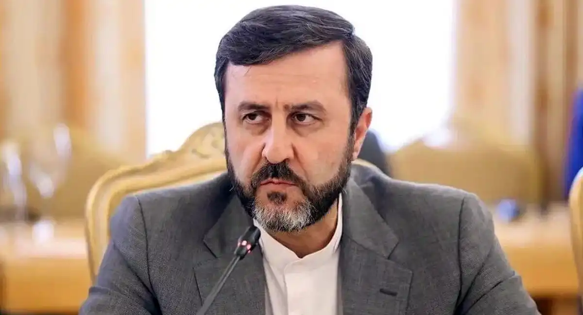 برکس سمٹ کا اعلامیہ عالمی مسائل پر ایران کے مؤقف کی عکاسی کرتا ہے، کاظم غریب آبادی