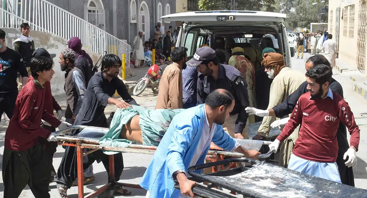 پاکستان میں مارے گئے 260 افغان دہشت گردوں کی مکمل شناخت ہوگئی، طالبان رجیم کی سرپرستی کے ناقابل تردید شواہد