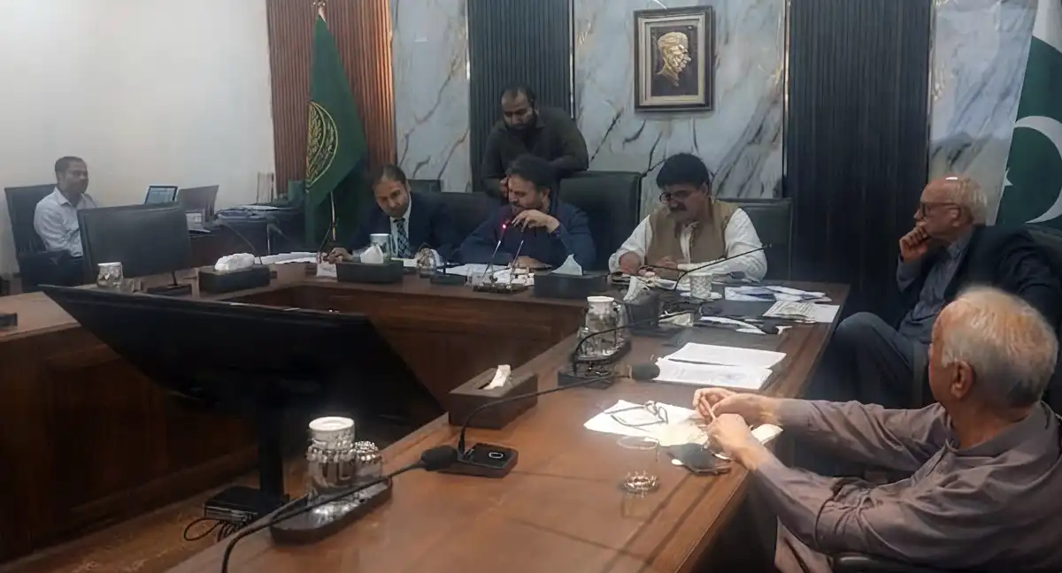 کراچی کیلئے کے فور منصوبہ مسئلہ کشمیر بن گیا ہے، سینیٹ کمیٹی کا شدید اظہارِ برہمی