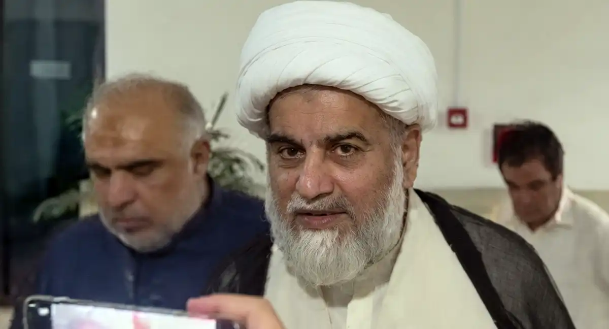 راجہ ناصر عباس