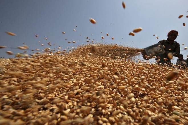 Bumper wheat crop of 27 million tons expected during current season