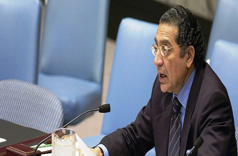 Pakistan calls for fair regional representation at UN Security Council