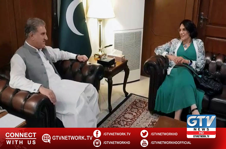 FM asks EU to take notice of grave human rights violations in occupied Kashmir