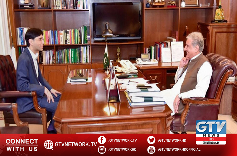 FM Qureshi blames India for putting regional peace and stability at stake