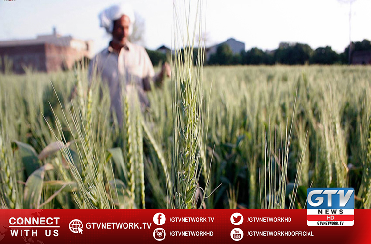 Government urged to adopt Chinese eco farming model
