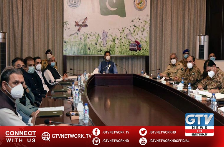 PM approves National Action Plan for Locust Control