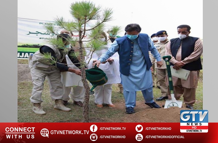 Prime Minister launches monsoon plantation drive 2020 near Kahuta