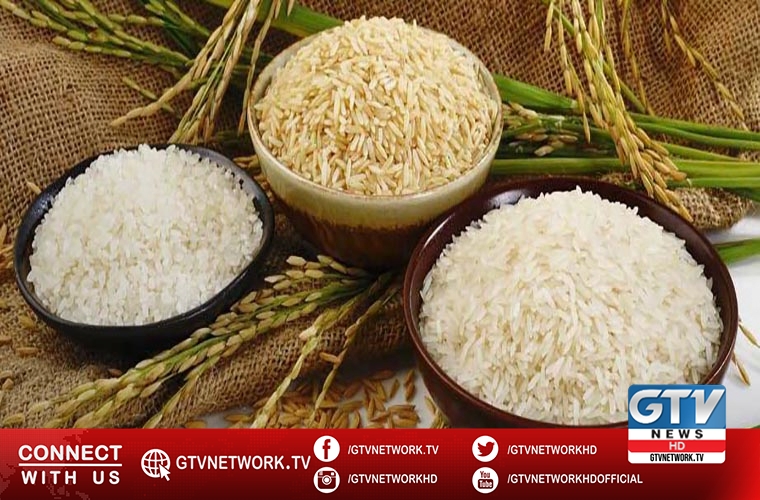 Rice exports vow to promote decent working conditions