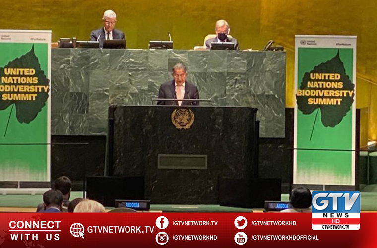 ECOSOC Chief Munir Akram asks world leaders to achieve biodiversity goals