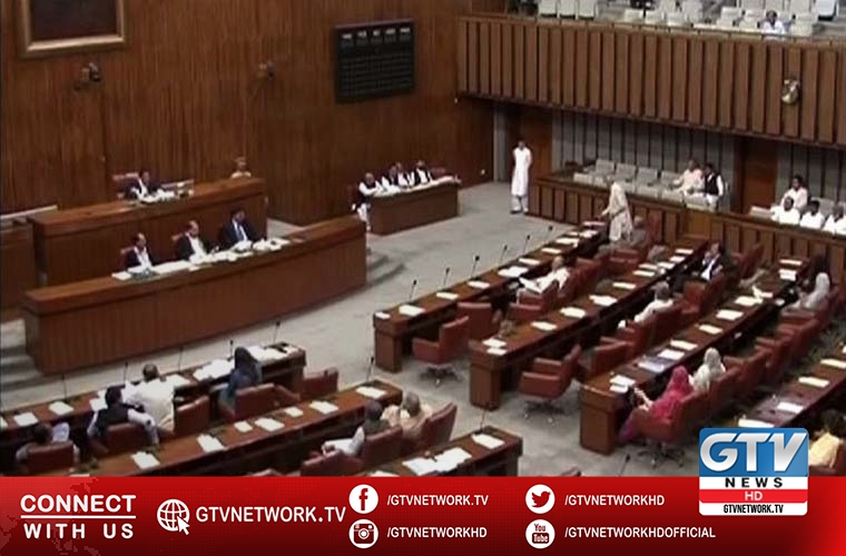 Senate lauds sacrifices of security personnel at Ormara and Waziristan