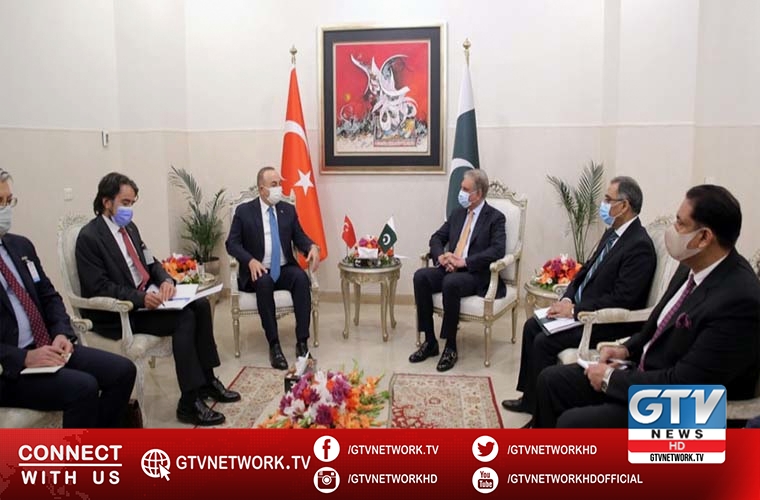 FMs of Pakistan and Turkey agree on joint strategy at international level