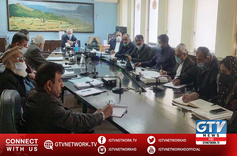 Pakistan Central Cotton Committee revival discussed