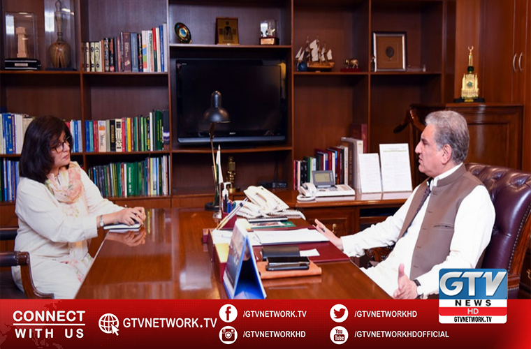 FM asks envoy for special care of Pakistani workers welfare in Malaysia