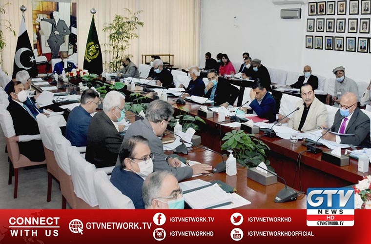 ECC revokes Neelum Jhelum surcharge to electricity consumers