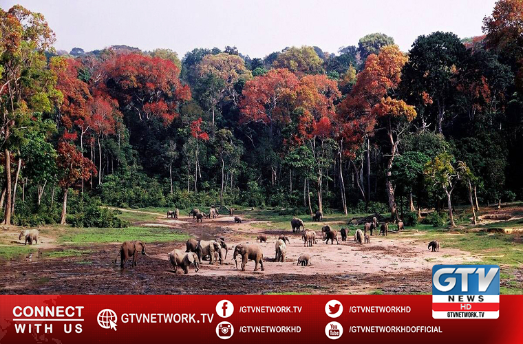 Pakistan observes World Wildlife Day today