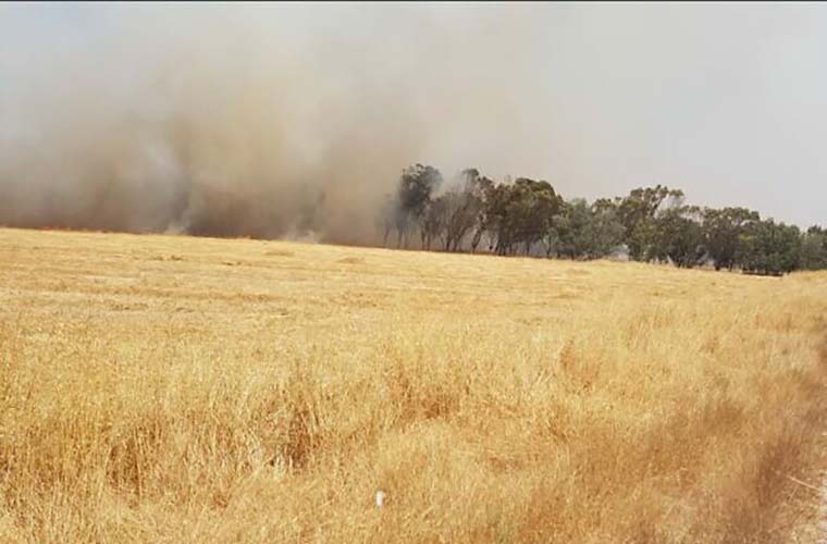 Incendiary balloons from Gaza spark 6 fires in Eshkol fields