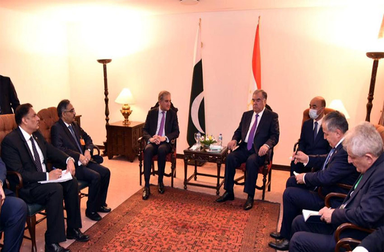 FM Qureshi foresees energy corridor between South Asia and Central Asia