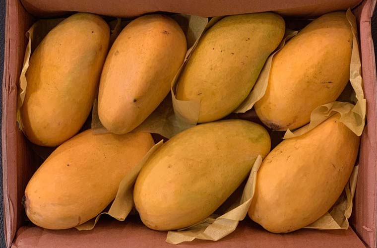 Pakistan seeks to export mangoes to China through Khunjrab border