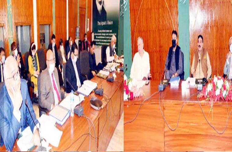 SBP NRLP mobile app to reward overseas Pakistanis for remittances: ECC